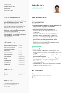 Lebenslauf-Vorlage für Vertriebskonsulent*in #2