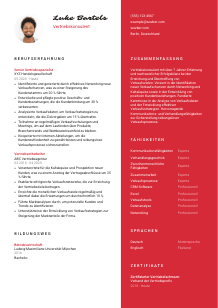 Lebenslauf-Vorlage für Vertriebskonsulent*in #3