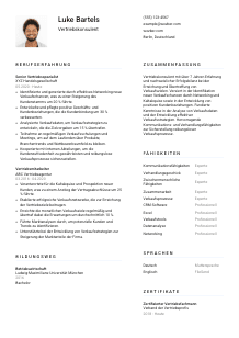 Lebenslauf-Vorlage für Vertriebskonsulent*in #1