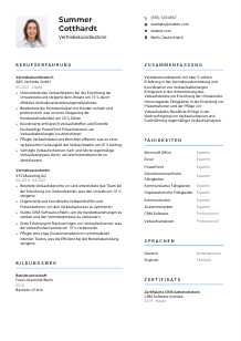 Lebenslauf-Vorlage für Vertriebskoordinator*in #2