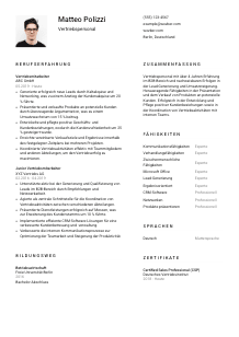 Lebenslauf-Vorlage für Vertriebspersonal #1