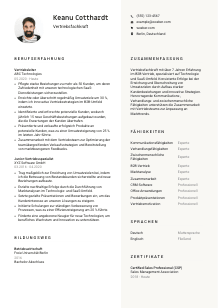Lebenslauf-Vorlage für Vertriebsfachkraft #2