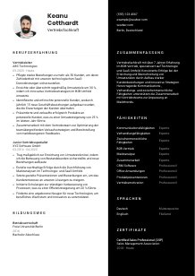 Lebenslauf-Vorlage für Vertriebsfachkraft #3