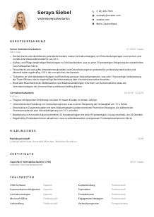 Lebenslauf-Muster für Vertriebsrepräsentant*in