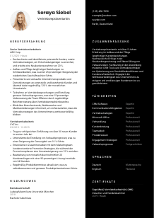 Lebenslauf-Vorlage für Vertriebsrepräsentant*in #3