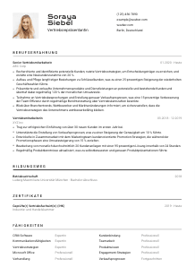 Lebenslauf-Vorlage für Vertriebsrepräsentant*in #2