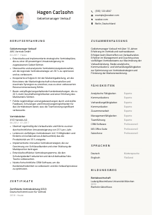 Lebenslauf-Vorlage für Gebietsmanager*in Verkauf #2