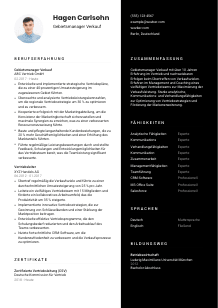 Lebenslauf-Vorlage für Gebietsmanager*in Verkauf #3
