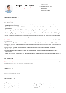 Lebenslauf-Vorlage für Gebietsmanager*in Verkauf #1