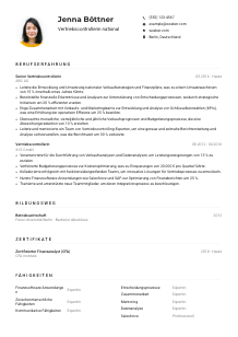 Lebenslauf-Muster für Vertriebscontroller*in national