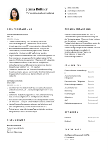 Lebenslauf-Vorlage für Vertriebscontroller*in national #1