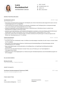 Lebenslauf-Muster für Vertriebsleiter*in national