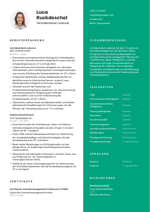 Lebenslauf-Vorlage für Vertriebsleiter*in national #2