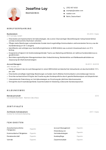 Lebenslauf-Muster für Bezirksleiter*in