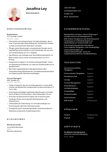 Lebenslauf-Vorlage für Bezirksleiter*in #3