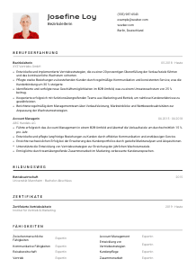 Lebenslauf-Vorlage für Bezirksleiter*in #2