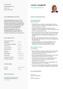 Lebenslauf-Vorlage für Vertriebsgebietsleiter*in #2