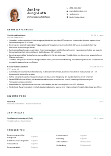 Lebenslauf-Vorlage für Vertriebsgebietsleiter*in #3