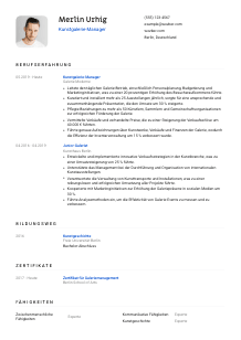 Lebenslauf-Vorlage für Kunstgalerie-Manager*in #1