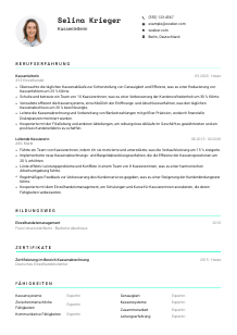 Lebenslauf-Vorlage für Kassenleiter*in #3