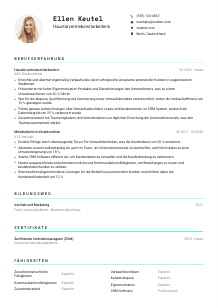 Lebenslauf-Vorlage für Haustürvertriebsmitarbeiter*in #3