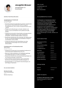 Lebenslauf-Vorlage für Vertriebsleiter*in im Einzelhandel #3