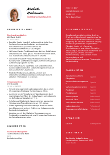 Lebenslauf-Vorlage für Einzelhandelsverkäufer*in #3
