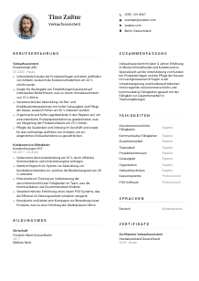 Lebenslauf-Vorlage für Verkaufsassistent*in #1