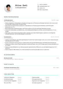 Lebenslauf-Vorlage für Großhandelsleiter*in #3