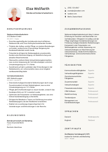 Lebenslauf-Vorlage für Werbevertriebsmitarbeiter*in #2