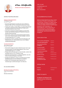 Lebenslauf-Vorlage für Werbevertriebsmitarbeiter*in #3