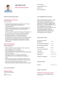 Lebenslauf-Vorlage für B2B-Vertriebsmitarbeiter*in #2