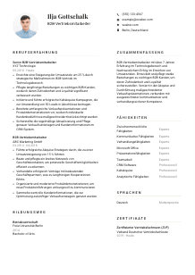 Lebenslauf-Vorlage für B2B-Vertriebsmitarbeiter*in #1