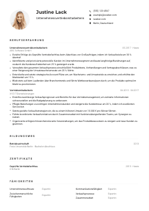 Lebenslauf-Muster für Unternehmensvertriebsmitarbeiter*in