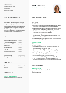 Lebenslauf-Vorlage für Außendienstmitarbeiter*in #2