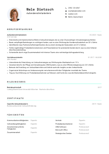Lebenslauf-Vorlage für Außendienstmitarbeiter*in #3