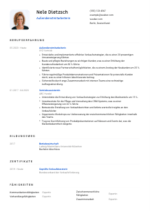 Lebenslauf-Vorlage für Außendienstmitarbeiter*in #1