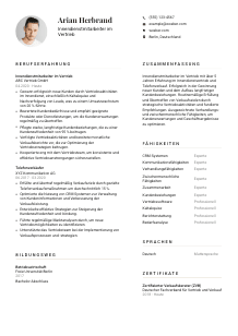 Lebenslauf-Vorlage für Innendienstmitarbeiter*in im Vertrieb #1