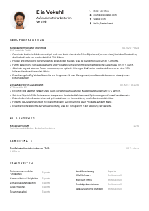 Lebenslauf-Muster für Außendienstmitarbeiter*in im Vertrieb