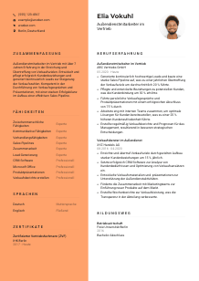 Lebenslauf-Vorlage für Außendienstmitarbeiter*in im Vertrieb #3