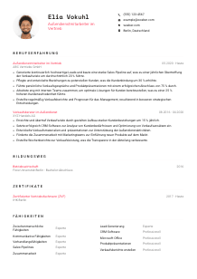 Lebenslauf-Vorlage für Außendienstmitarbeiter*in im Vertrieb #1