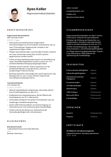 Lebenslauf-Vorlage für Regionalvertriebsmitarbeiter*in #3