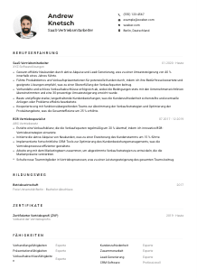 Lebenslauf-Muster für SaaS-Vertriebsmitarbeiter*in