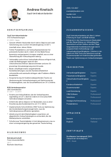 Lebenslauf-Vorlage für SaaS-Vertriebsmitarbeiter*in #2