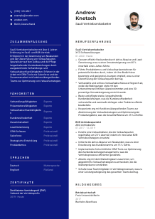 Lebenslauf-Vorlage für SaaS-Vertriebsmitarbeiter*in #3