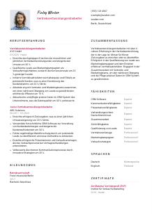 Lebenslauf-Vorlage für Vertriebsentwicklungsmitarbeiter*in #2
