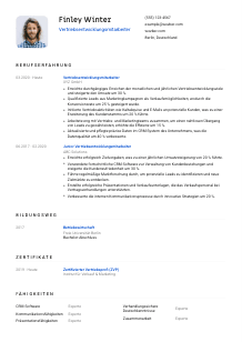 Lebenslauf-Vorlage für Vertriebsentwicklungsmitarbeiter*in #1
