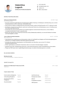 Lebenslauf-Muster für Softwarevertriebsmitarbeiter*in
