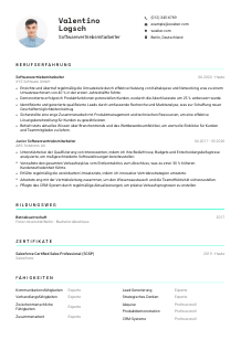 Lebenslauf-Vorlage für Softwarevertriebsmitarbeiter*in #3