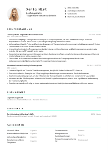 Lebenslauf-Vorlage für Leistungsstarker Trägermitvertriebsmitarbeiter*in #3